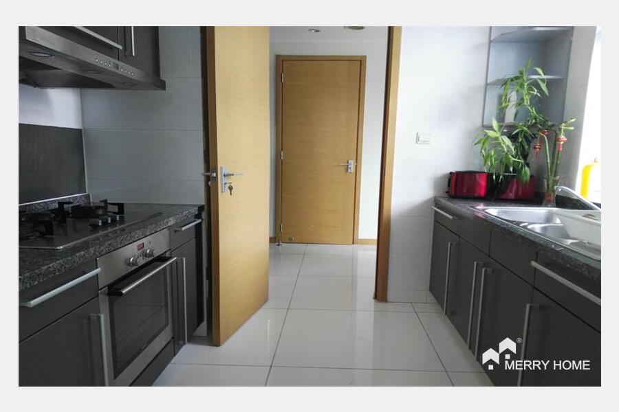 Crystal Pavilion big apartment for rent in Jing'an
