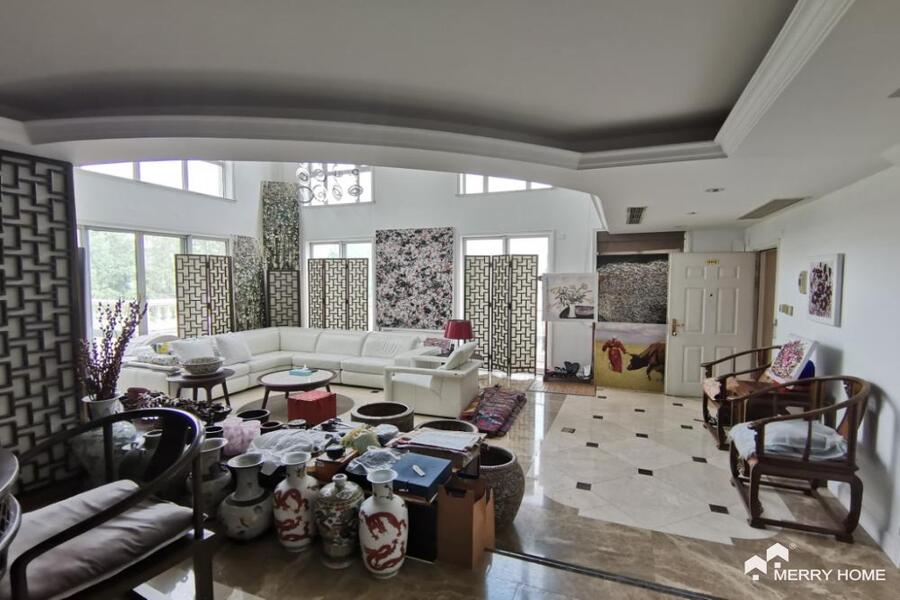 Unique penthouse in Tomson Garden on Hunan road