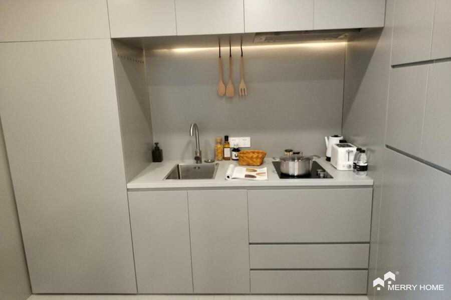 one bedroom serviced apartment in Xujiahui M/L1/3/4/9