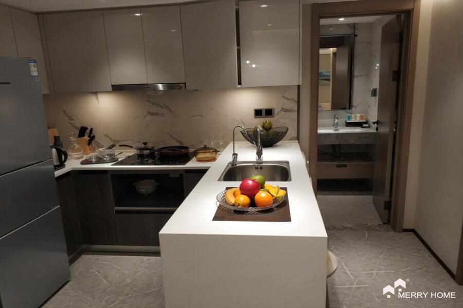 two bedroom serviced apartment in pudong Biyun area