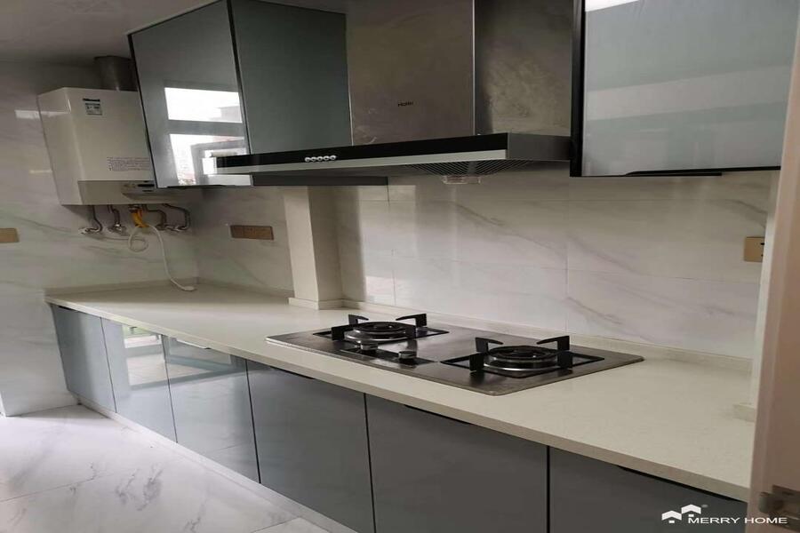 Grand 3br apartment rent in Pudong