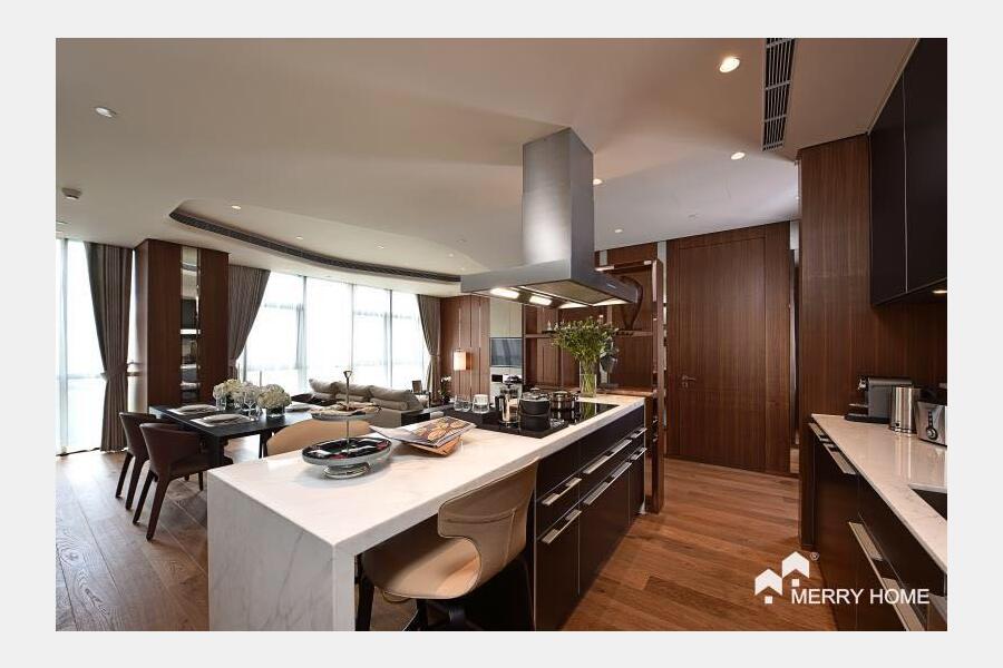 Rent large 1br apartment in shanghai One Park serviced residence