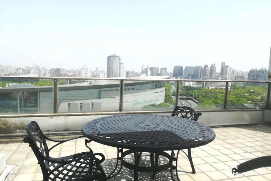 spacious apartment near Century park-lujiazui center palace